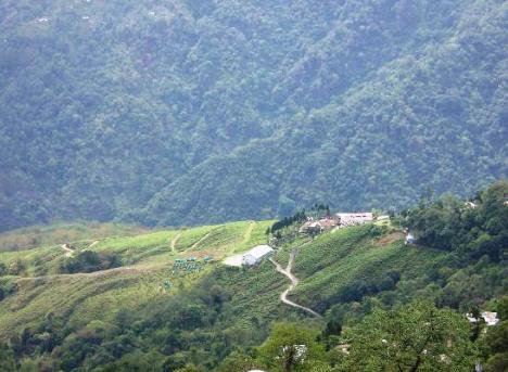 Central Nirvana Darjeeling  Eksteriør bilde